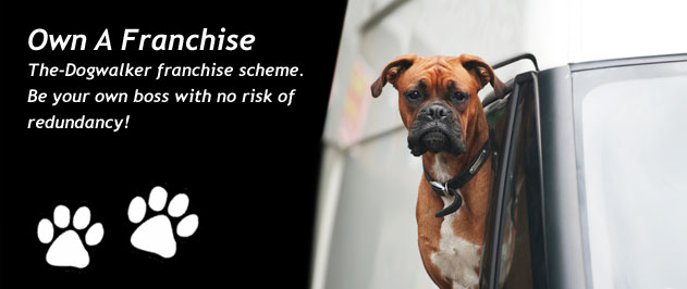 Become a Dog walker franchisee, buy your own business