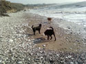 Sea Side Walks
